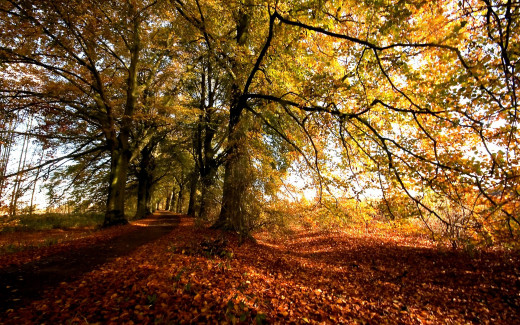 1754674 (a): :1920x1200